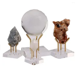 Dekoratif Tabaklar Koleksiyonlu Balo Mineralleri için Mercan Rock Ev Ofisi Dekor Destek Taban Destek Ekran Tutucu Stand Kristal