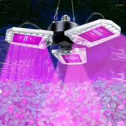Grow Lights LED Phyto Lamp E27 1600lm Full Spectrum 144 Light AC85-265V Horticole för inomhusplantor Blomstältlåda