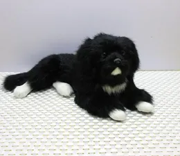 Dorimytrader bonito mini animal realista cão preto brinquedo de pelúcia cães realistas decoração para carro crianças presente 2 modelos DY800065013176