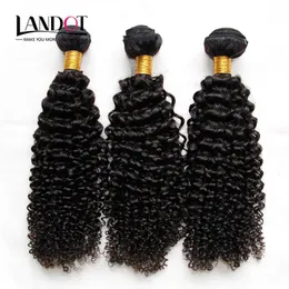 Wątłyk Kambodżańskie kręcone włosy nieprzetworzone Kambodżańskie Kinky Curly Human Hair Weave 3 Bundle Lot 8A Krade Kambodian Jerry Curls Hair Exensio