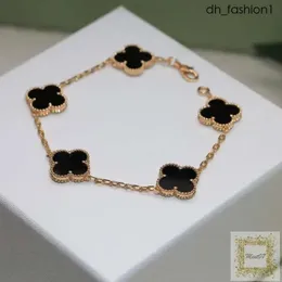 Clover Hot Lady Designer Charm Clover Bracelet Designer Bangles Jewelry Superior Quality Clover Necklace Free Exquisite Gift Box 391