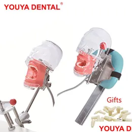 Diğer Oral Hijyen Basit Kafa Modeli Dental Simator Phantom Manikin Diş Hekimi Öğretim Uygulama Eğitimi Çalışması Dinistist DH3PL