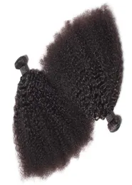 Бразильские девственные человеческие волосы, афро-кудрявые вьющиеся волны, необработанные волосы Remy, плетут двойные утки, 100 г, комплект из 2 пучков, может быть окрашен, Bl4930363