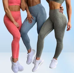 10 kolorów Women039s bezproblemowe legginsy fitness Kobietowy bieganie w talii Sport Leggingi