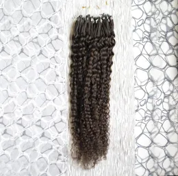 Mänskliga hårförlängningar kinky lockiga mikro loop ring hårförlängningar 100g 1gs 100s remy mikro pärla hårförlängningar mörkaste brun2491486