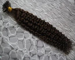 Virgin Mongolian Hush Hair Afro kinky curly 100s keratine u tip tip extension 100g 10quot26quot extensions to caps7951542