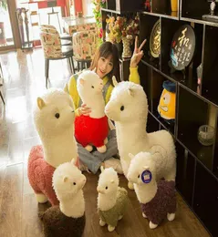Llama Arpakasso Stuffed Animal 28cm11 inches Alpaca Soft Plush Toys Kawaii Cute for Kids Christmas present 6 colors C50234171862