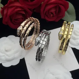 Gioielli regalo squisiti Bracciale di design stile serpente vipera Bracciale con diamanti e ciondoli alla moda in oro, oro rosa e argento di alta qualità