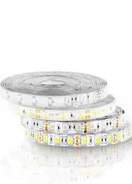 100m 5050 3528 SMD LED Strip Light Warm Pure Pure White Red Blue RGB مقاومة للماء IP65 غير مقاومة للماء 300 LEDS 12V بواسطة DHL5632133