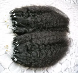 Kinky Straight Micro Loop Human Hair Extensions 200G 루프 마이크로 링 휴먼 헤어 확장 1G 거친 Yaki Micro Link Human Hair 2080099