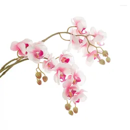 Decorative Flowers Wholesale Phalaenopsis Orchid Glued Magnolia Imitation Flower Rose Home Wedding Decoration Rhododendron Artificial