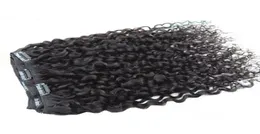 Mongolian Afro Kinky Curly Clip In Human Hair Extensions Clips In