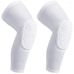 Rodilleras manga panal rodillera a prueba de golpes antideslizante baloncesto voleibol pierna almohadilla protectora larga