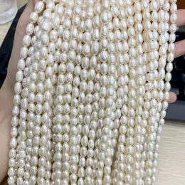 Оптовая продажа среднего качества 56 мм натуральный пресноводный жемчуг в форме риса свободные бусины DIY ожерелье браслет 5 нитей 240106
