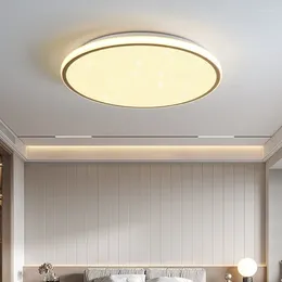 Ceiling Lights LED Modern For Home Decoration Bedroom Living Room Dining Hallway Suspended Indoor Lighting Fixtures