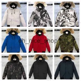 Canad goose jacket Men's Down Parkas womans Down Parkas Puffer jacket Coat canda gooses Long canadas goose down jacket Stone down North jacket 1DXA