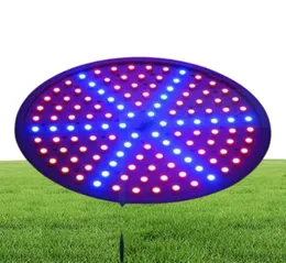 أحدث مصباح إضاءة الزراعة المائية 110V 220V 15W E27 RED Blue 126 LEDS مصابيح مصباح LED HYDROPONIC