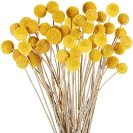 Dekorativa blommor Naturtorkade Craspedia Goldene Ball Yellow Bouquet Bunch Diy Crafts Wedding Party Home Decor Po Props Flores