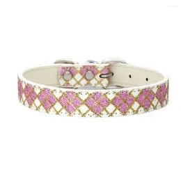 Dog Collars Accessories Lattice Sequins Adjustable PU Fashion Cat Pet Leash Luminous Supplies Leather Collar