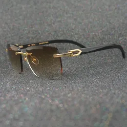 Sonnenbrillen Carter Herren-Sonnenbrillen, photochrom, schwarze Büffelhorn-Töne für Damen, Sonnenbrillen, modische Brillen, Herren-Sonnenbrillen, Brillen