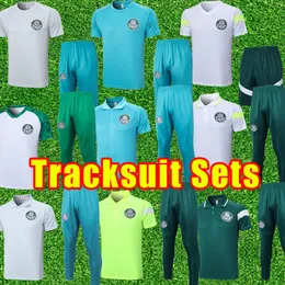 23/24 Palmeiras Soccer TraceSuits Champeao Brasileiro 2023 2024 L. Adriano Ramires Dudo Gomez Veiga Willian Roni Men Training Polo Suits Comple