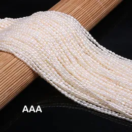 Armbänder Natürliche Süßwasserperlen, hochwertige unregelmäßige Form, lose Perlen, DIY-Halskette, Armband für die Schmuckherstellung, 22,5 mm