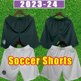 23/24 Palmeiras Soccer Shorts Champeao Brasileiro 2023 2024 L. Adriano Ramires Dudo Gomez Veiga Willian Roni Men Home Away Football Pants