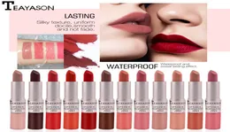 TEAYASON 1 PC ÇOCUK KAPLAMA MAT DUVUCU GLOSS Uzun Kalıcı Su Geçirmez Sıvı Ruj Cilt Rengi Mükemmel Lips7783058