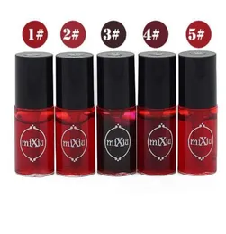 Multifuncional Lip Tint Lip Pen Rouge Tingimento Blush Maquiagem À Prova D 'Água Cosmético Líquido Lip Gloss1341335