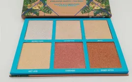 ePacket Nuevo maquillaje facial Highliter Fan Brush Palette 6 colores Paleta de polvo happyyunxia5972743