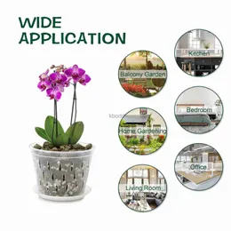 Planters Pots 5pcs Transparent Orchid Pot with Holes Saucers Root Control Clear Meshpot Pot for Orchid ABS Root Breathable Growth Container YQ240109