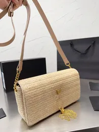 Borsa di nuova moda 2023 Borsa di design di lusso Elegante indipendente Tono semplice Geometria morbida Borsa a tracolla singola Borsa a tracolla Portafoglio a catena