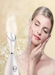 Deep Cleaning Nano Ionic Facial Cleaner Beauty Face ånga Anordning Ansikteångare Maskin Ansikt Termisk sprayer Skinvård Verktyg8542231