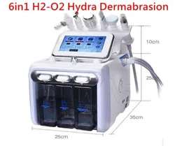 6 em 1 H2O2 Hydra Máquina Facial Dermaabrasão Aqua Peel RF Biolifting Spa Facial Hidro Água Microdermoabrasão Martelo Frio Oxygen3770710