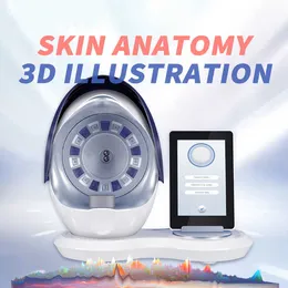 10 Spectrum RGB+UV+PL Ljus hudhälsanalys Kompositiondetekteringskamera 12 miljoner pixlar 3D Anatomy Illustration Skin Analysator