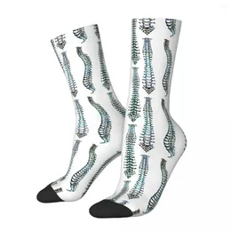 Мужские носки, анатомические чулки с видом спереди, сзади и сбоку, всесезонные длинные аксессуары для мужчин и женщин, рождественские подарки