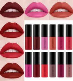Lip Gloss 12 cores Mini esmalte fosco suave à prova d'água de longa duração copo antiaderente Belleza maquiagem cosméticos inteiros tslm26445213