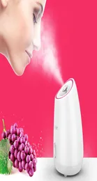 Frutas vegetais Facial Face Steamer doméstico Spa instrumento de beleza Térmica nano spray de água branqueamento rosto máquina de vapor CX20075827790
