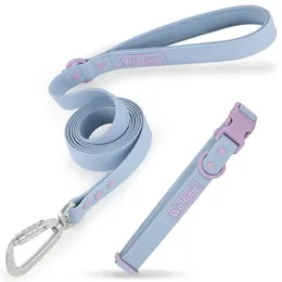 Dog Collars 2-Piece Set Poop Bag Holder Medium Adjustable And Luxury Collar Leash Walking Bags Lead