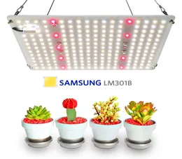 上部調光器LED Grow Lights Full Spectrum Hydroponics Indoor Plants Lamp Garden Light for Hydroponic Systems9443683