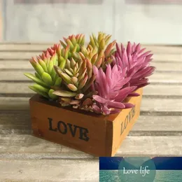 Sneeuwvlok Lotus Zeldzame planten Succulent Gras Woestijn Kunstplanten Landschap Arrangement Tuin Decor Cute320J