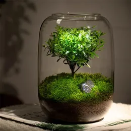 Creative Glass Bottles Succulent Vase Hydroponic Container Micro Landscape Terrarium Moss Bonsai Home Decor 240110