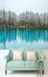 Pittura murale personalizzata di qualsiasi dimensione Grande carta da parati per soggiorno Acqua di lago con alberi di pino Art Pography Europa Murale Home Decor905762503484