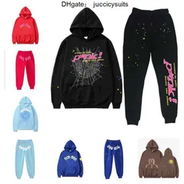 Sp5der Young Thug 555555 Mannen Vrouwen Hoodie Hoge Kwaliteit Schuimprint Spinnenweb Grafische Roze Sweatshirts Y2K Truien S-2XL PWUR