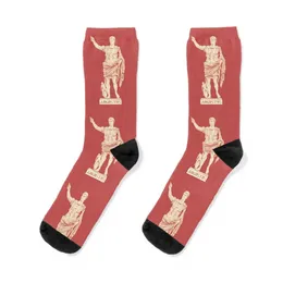 Augustus's statue Socks socks cotton cute socks cool socks Designer Man Socks Women's 240110