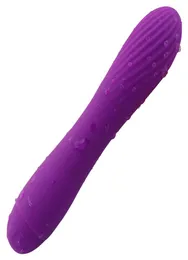 Silikon-Dildo-Vibrator, wiederaufladbar über USB, Sexspielzeug für Frauen, Gewinde-Gspot-Massagegerät, stimuliert die Innenwand der Vagina, Erwachsene Sexo M2098990