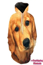 Décontracté sweat à capuche pour femme Golden Retriever pull pull personnalisé à manches longues hauts chemise à capuche goutte 2019 nouveau 16977274