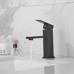 Bathroom Sink Faucets Hownifety Black Faucet Cold Water Mixer Tap Stainless Steel Paint Basin Single Hole Tapware