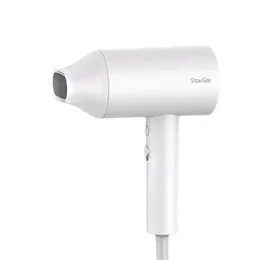 Dryer Anion Hair Dryer Professinal Quick Dry Hair Dryer Mihome 1800W Hair Care Portable Hairdryer