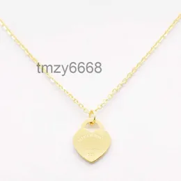 Classic New Style Stainless Steel Fashion t Necklace Jewelry Heart-shaped Pendant Love Necklaces for Women's Party Wedding Gifts Wholesale AH8D